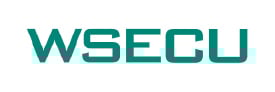 42-00167 CU logos-work_WSECU